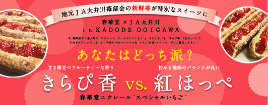 春華堂 Jaおおいがわ 紅ほっぺ きらぴ香 Kadode Ooigawa