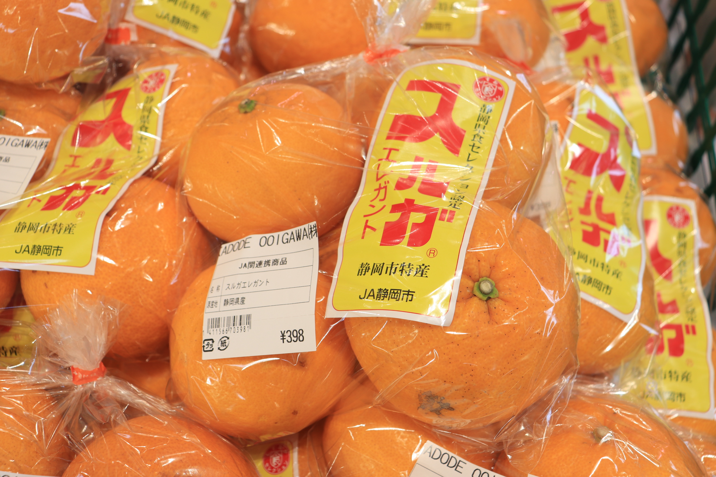 JA静岡市 「スルガエレガント」入荷しました！ - KADODE OOIGAWA