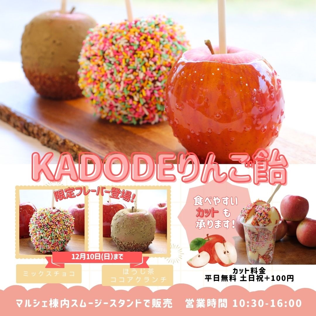 りんごあめ様 リクエスト 5点 まとめ商品（cocore様 リクエスト 2点 