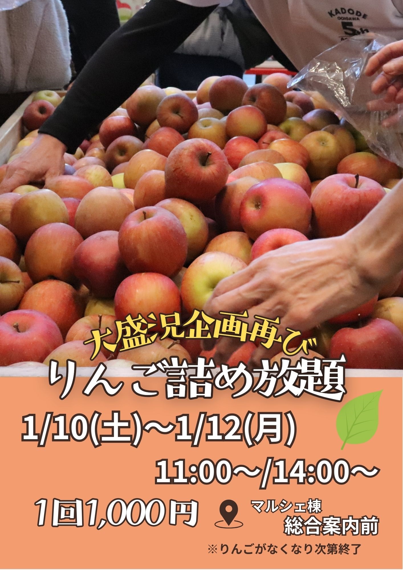 りんご詰め放題-A4-1.jpg