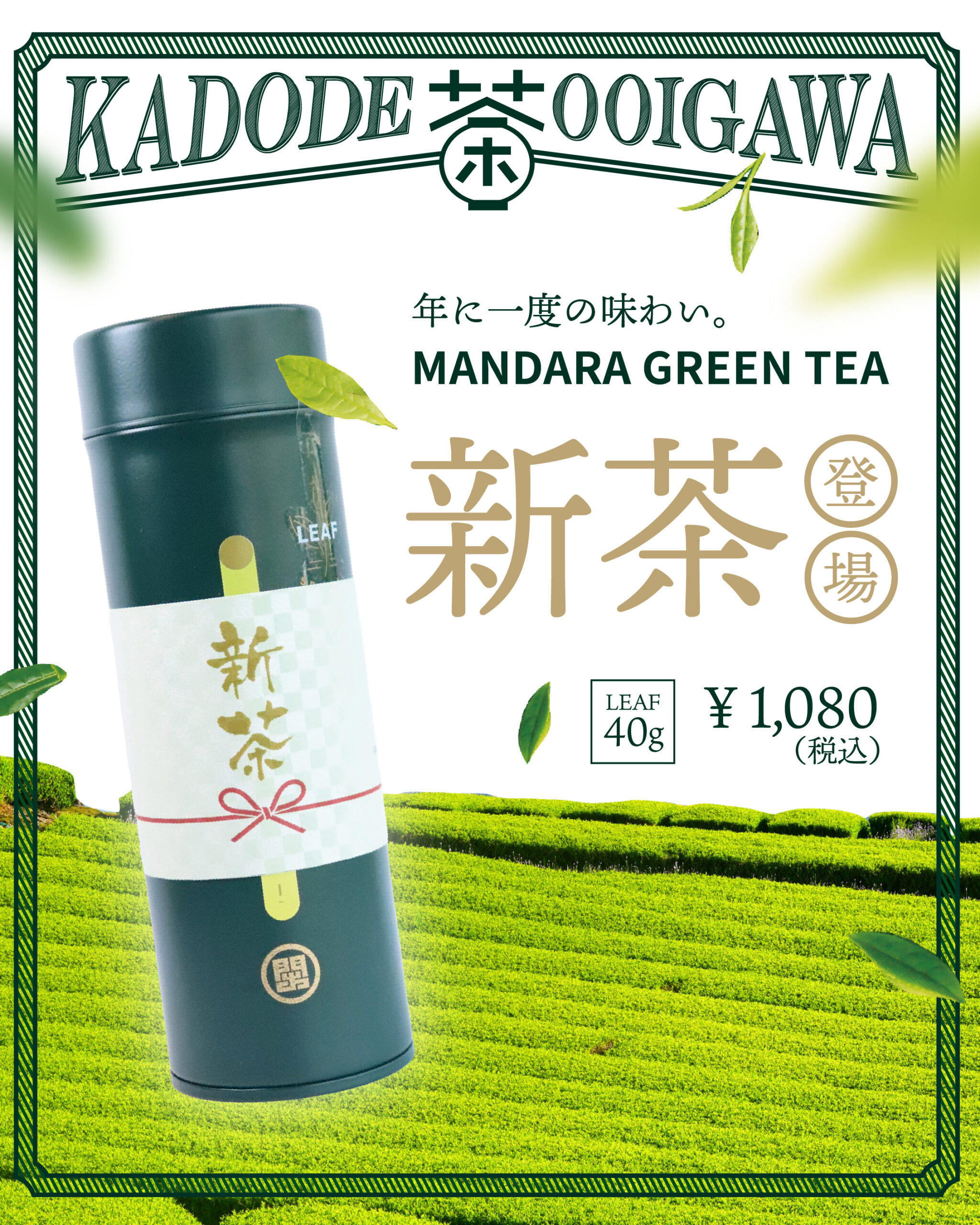 MANDARA GREEN TEA新茶入荷のお知らせ - KADODE OOIGAWA